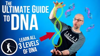 How to do the DNA Yoyo Trick 🧬 All 3 Levels of DNA Beginner to Pro [upl. by Newell]