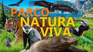 Parco Natura Viva  Safaripark und Zoo am Gardasee  ZooEindruck [upl. by Pergrim]