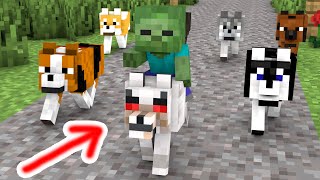 Baby Zombie and Dog Rescues Friends  Minecraft Animation [upl. by Llet]