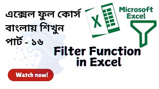 Filter Function in Excel  How to add filter function in Microsoft excel  excel for Fresher [upl. by Anomar687]