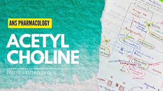 ANS Pharmacology 2  Acetyl Choline Synthesis amp Botulinum Toxin  Handwritten notesUniversity proff [upl. by Nilpik]