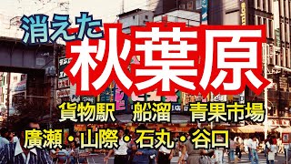 【秋葉原の昔、失われた風景】秋葉原がどうして今の姿になったのか、露天商からガード下へ、家電からPC、そしてゲーム、フィギュア、ポップカルチャーの街へ。その歴史を振り返りました。 [upl. by Nosle]