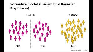 OHBM 2023  2992  Talk  Iva Ilioska  Quantifying the Heterogeneity of Functional Connectivity i… [upl. by Kacey634]