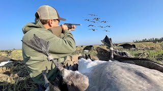 We shot A Rare Rivet Band while Goose Hunting Double Banded [upl. by Meerek852]