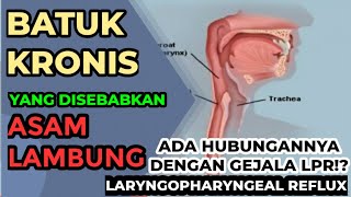 BATUK KRONIS TIDAK KUNJUNG SEMBUH KEMUNGKINAN KARENA ASAM LAMBUNG [upl. by Bopp864]