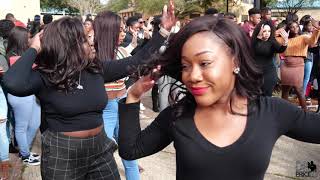 Southern University Greeks  Pretty Wednesday on The Yard  Spring 2019 [upl. by Beckman930]