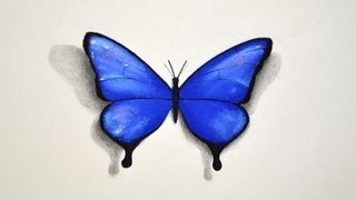 How to Draw a Butterfly With Pastel  Fine ArtTips [upl. by Gnal]