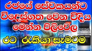 නවසීලන්තයේ වැඩිම ඉල්ලුමක් තියෙන රැකියා 2023  Most InDemand Jobs in New Zealand 2023  Highest Pay [upl. by Yarvis972]