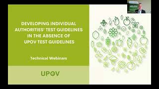 Developing individual authorities Test Guidelines in the absence of UPOV Test Guidelines [upl. by Elisabetta790]