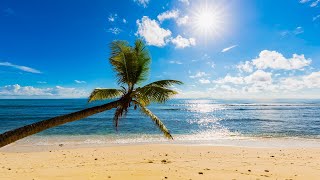 Tropical Beach Bossa Nova Music 2024 [upl. by Annovahs]