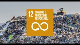 Obiettivo 12 Consumo e produzione responsabili [upl. by Aniral915]