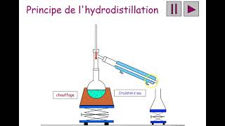 Hydrodistillation [upl. by Neilson]