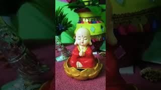 Little Buddha  Buddha Monk Solar Head Shaking 😊👌 [upl. by Thunell]