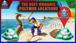 The Best Organic Polymer Locations in Ark Survival Ascended The Island Map [upl. by Ketchan]