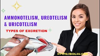 Ammonotelism ureotelism and uricotelism [upl. by Ecnal109]