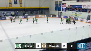 Edina vs Wayzata [upl. by Zales]