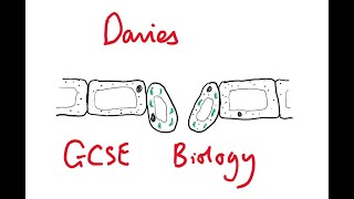 GCSE Biology 42 Required Practical  Photosynthesis [upl. by Grey440]