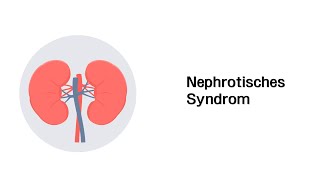 Nephrotisches Syndrom  Erkrankungen der Niere [upl. by Pauiie]