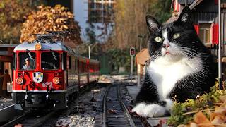 Gartenbahn Herbstimpressionen [upl. by Zinah]