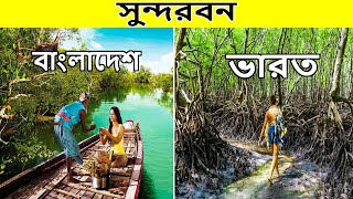 Indian sundarbans travel guide vs Bangladeshi sundarbans travel guide 2020 [upl. by Eojyllib140]