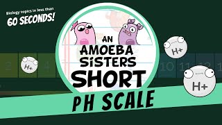 pH Scale  Amoeba Sisters Shorts [upl. by Arnuad848]