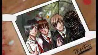 James Potter and Gang [upl. by Nylorac]