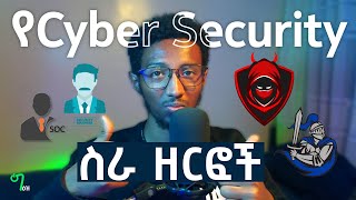 🟢በCYBER SECURITY መስራት ምትችሉባቸው ዘርፎች  Cyber Security Careers [upl. by Enal]