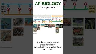 AP Bio  710 Reproductive Isolation apbiology natural selection apbiounit7 [upl. by Acihsay]