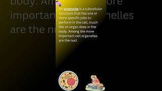 Organelles and their functions organelles functions biology definition youtubeshorts science [upl. by Sparky]