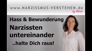 Hass und Bewunderung  Narzissten untereinander Dynamiken amp Deine Grenzen [upl. by Anawaj]