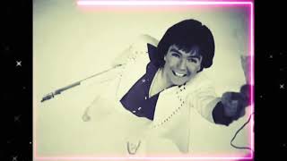 DAVID CASSIDY TRIBUTEDAYDREAMER LIVE [upl. by Rosemare]