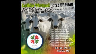 LEILÃO Virtual e Presencial da Cruzeta Leilões  Frutal  MG  Dia 23052024 [upl. by Zalucki]