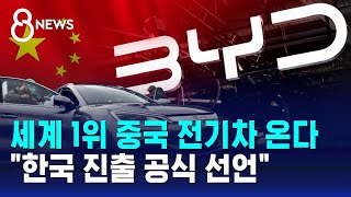 세계 1위 중국 전기차 온다…BYD quot한국 진출 공식 선언quot  SBS 8뉴스 [upl. by Garibold]