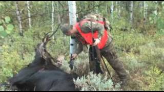 Utah Moose Hunt [upl. by Anwahsar868]