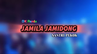 JAMILA JAMIDONG ft SANTRI PEKOK DK Remix [upl. by Ennayrb]