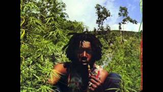 Peter Tosh  Burial [upl. by Gregor347]