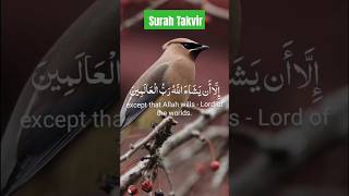 The Divine Reminder and the Will of Allah surahtakwir foryou shortsviral shortsislamic shorts [upl. by Viking]