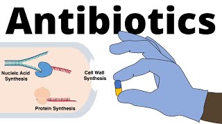 Antibiotics  Mechanisms of Action Classification and Antibiotic Resistance [upl. by Gisela597]