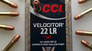 CCI Velocitor 22 LR Ammo Review [upl. by Anaila]