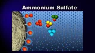 Bioprocessing Part 3 Purification [upl. by Vale]