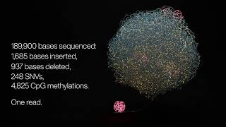 Structural variant analysis with Oxford Nanopore [upl. by Winchester]