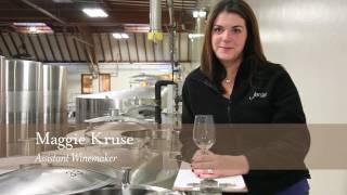 Winemaking Process Video  Tasting Wines from Vineyard to Fermentation Tank [upl. by Erdman]