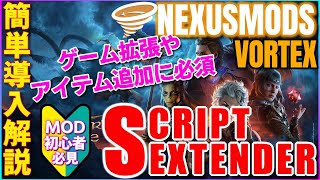 【バルダーズゲート3】簡単導入解説 新スペルやアイテム強化クラスゲーム拡張に必要不可欠スクリプトエクステンダー 注意点やエラー対策も紹介 VORTEX【Buldersgate】NEXUSMODS [upl. by Norabel505]