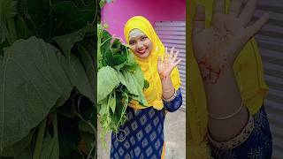 Muslim style pumpkin leaves vegetable recipe 🎃🎃🎃 recipe vegetables shorts [upl. by Novelia]