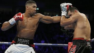 Anthony Joshua Vs Eric Molina Highlights IBF Title [upl. by Ahel]