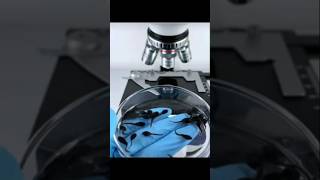 microscope test കാട്ട് തവളയെ 😸 m4techmicroscope test shorts mrzthoppi [upl. by Aurelia]