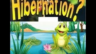 Hibernation Definition for Kids  ToddlersKindergartenPreschoolers [upl. by Ahsenwahs]