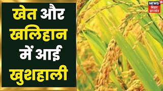 Agriculture कृषि यंत्रों से बदल रही है तस्वीर अब घंटों में हो जाती है धान की कटाईAgriculture News [upl. by Fennelly]