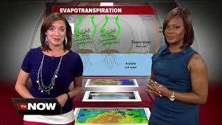 Geeking Out Evapotranspiration [upl. by Harrad]