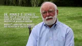 Ronald Schultz MD Immunization vs Vaccination  class [upl. by Erny979]